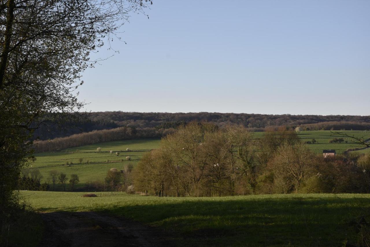 villa vink Durbuy Esterno foto